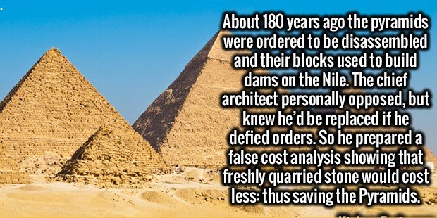 20 Awesome Facts For Your Amusement