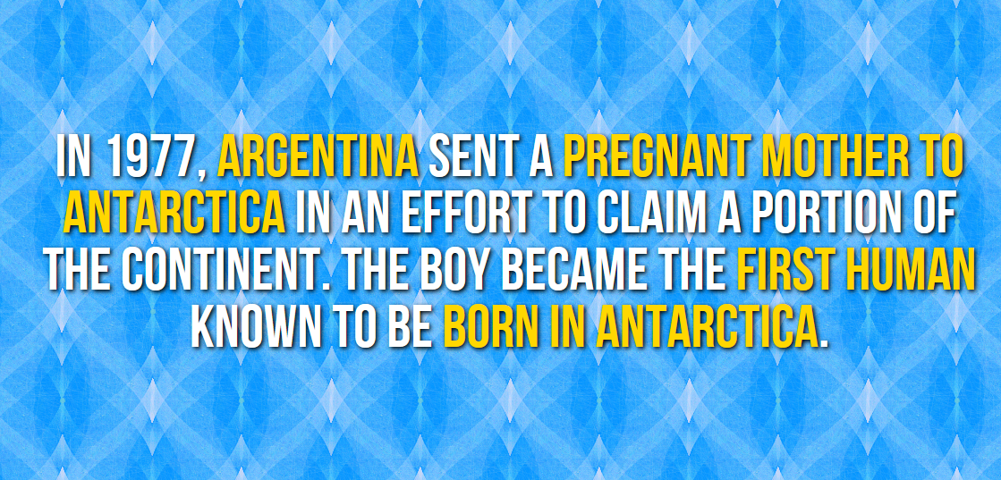 30 Extremely Cool Facts About Antarctica