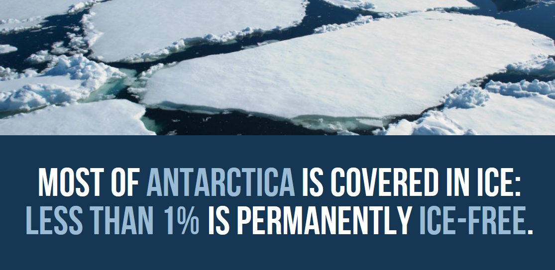 30 Extremely Cool Facts About Antarctica