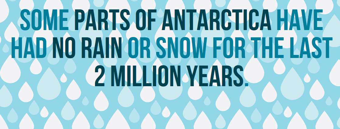 30 Extremely Cool Facts About Antarctica