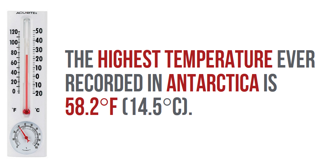 30 Extremely Cool Facts About Antarctica