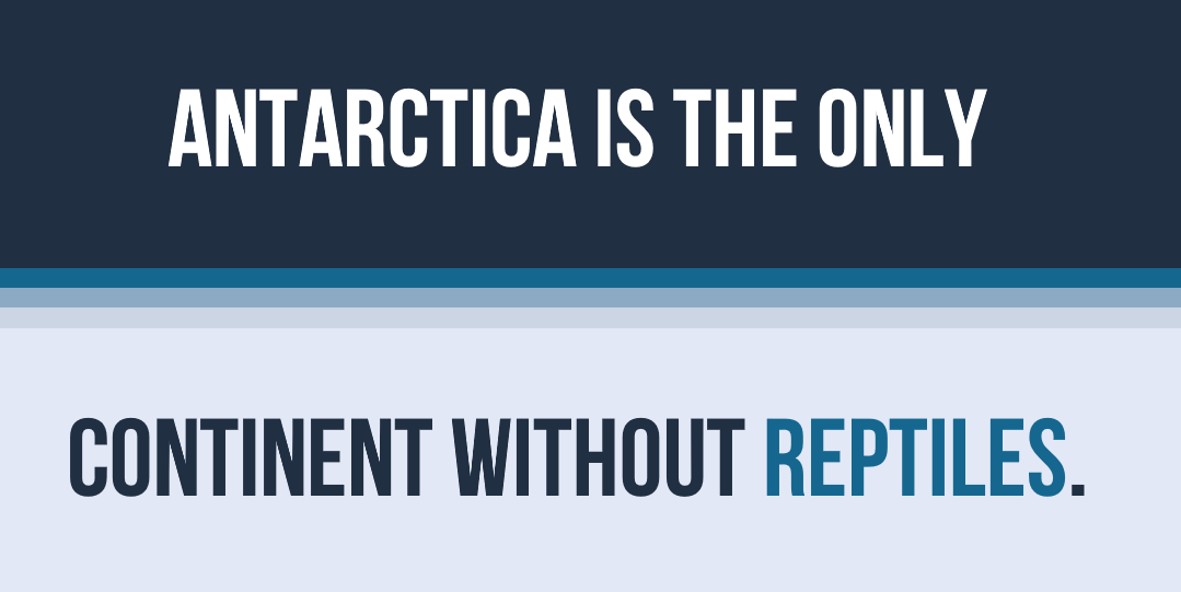 30 Extremely Cool Facts About Antarctica