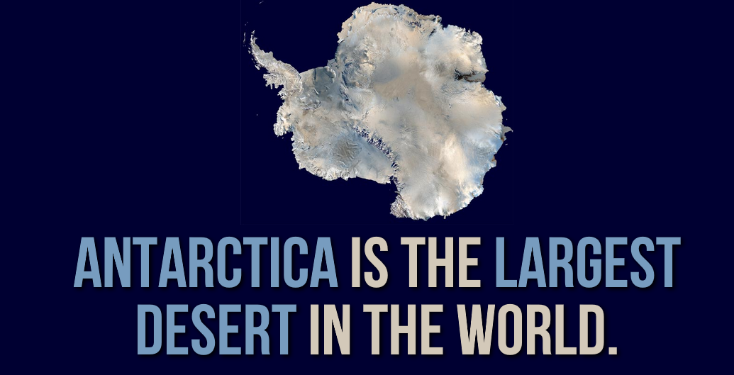 30 Extremely Cool Facts About Antarctica