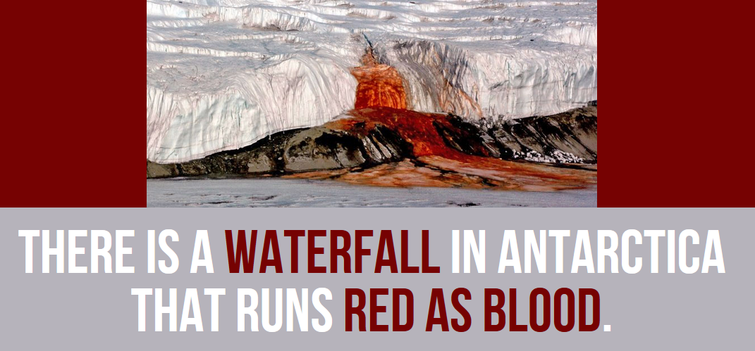 30 Extremely Cool Facts About Antarctica