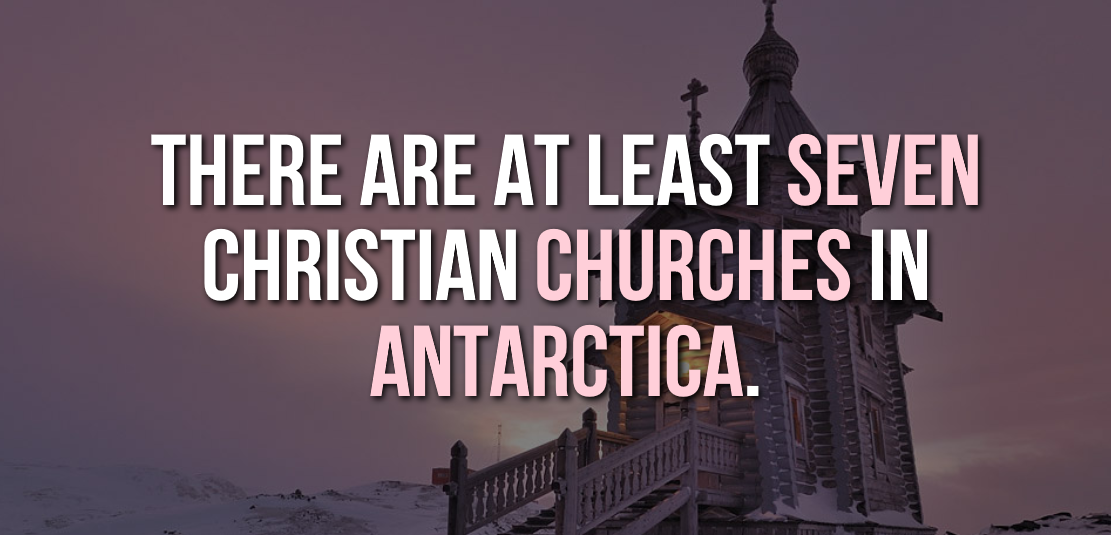 30 Extremely Cool Facts About Antarctica