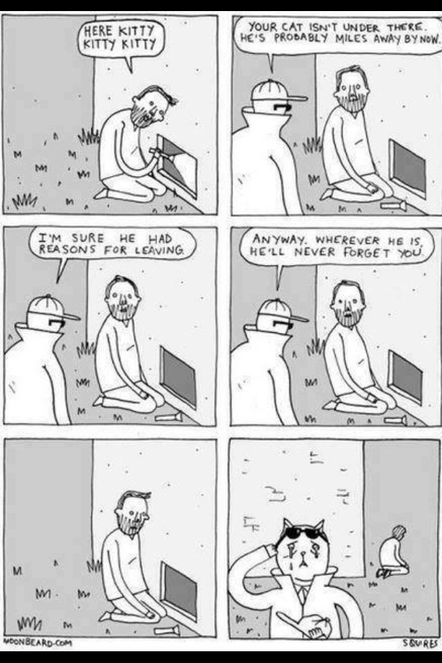 plot twist comic memes - Here Kitty Kitty Kitty Your Cat Isn'T Under There. He'S Probably Miles Away By Now. Ww I'M Sure He Had Reasons For Lsaving. Anyway. Wherever He Is, He'Ll Never Forget You M w Woonbeard.Com Soures