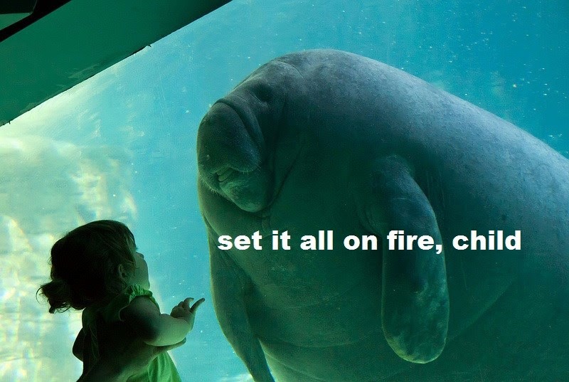 manatees funny - set it all on fire, child