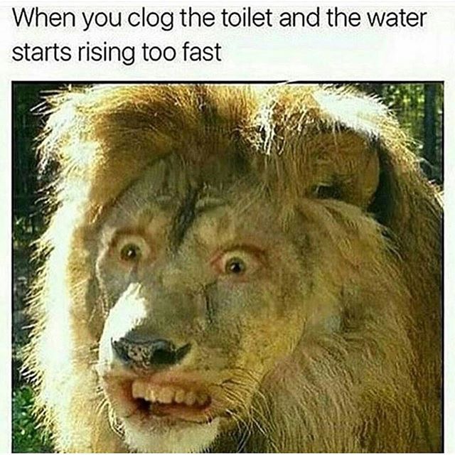 clogging toilet meme - When you clog the toilet and the water starts rising too fast