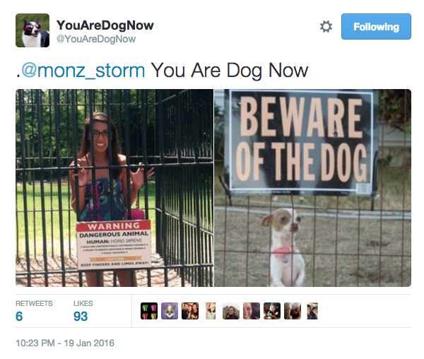 Introducing The New Popular Meme "You Are Dog Now"