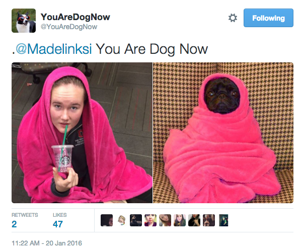 Introducing The New Popular Meme "You Are Dog Now"
