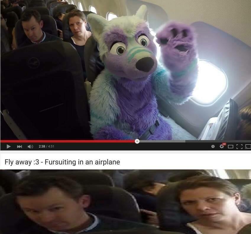 memes - fly away 3 fursuiting in an airplane meme - 2.38 4.51 Oop Fly away 3 Fursuiting in an airplane