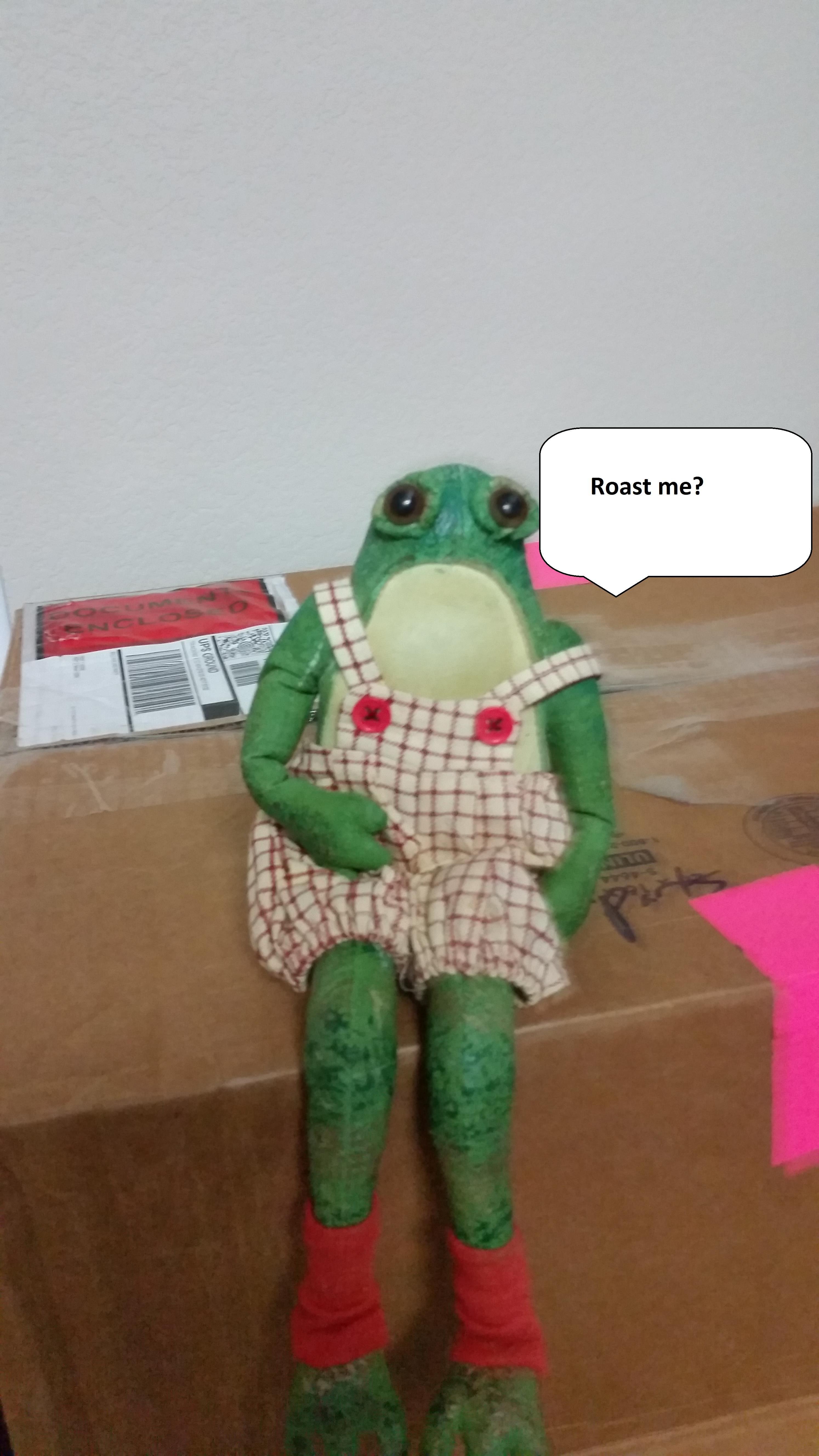 stuffed toy - Roast me?