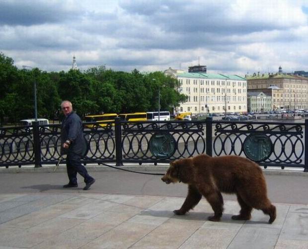 23 Pictures Proving That Stereotypes About Russia Might Be True