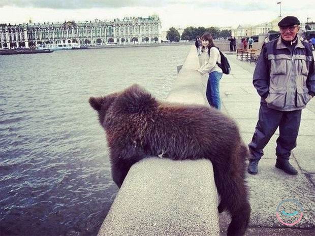 23 Pictures Proving That Stereotypes About Russia Might Be True