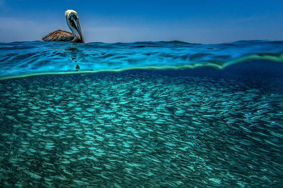 27 Spectacular Pictures of Our Beautiful World