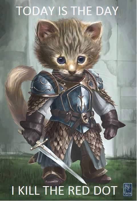 warrior kitty - Today Is The Day 'T Kill The Red Dot N