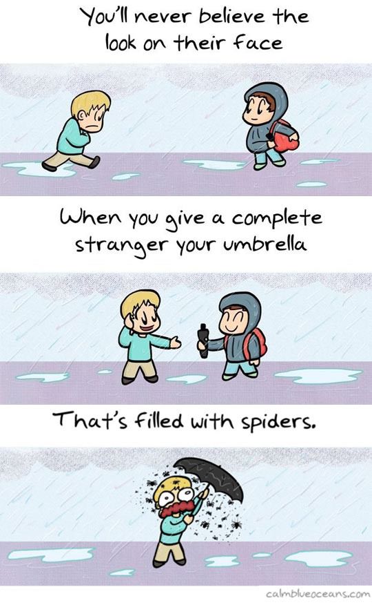 helping out funny - You'll never believe the look on their face When you give a complete stranger your umbrella That's filled with spiders. calmblueoceans.com