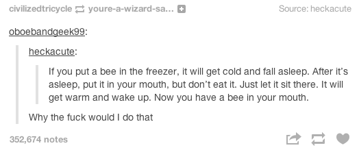 document - civilized tricycle youreawizardsa... Source heckacute oboebandgeek99 heckacute If you put a bee in the freezer, it will get cold and fall asleep. After it's asleep, put it in your mouth, but don't eat it. Just let it sit there. It will get warm