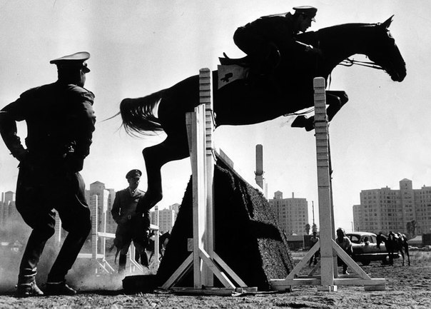 Police horse training, 1951. This part of the training failed as the horses jumped over the criminals rather than stopping to allow the Policeman to get off.