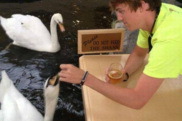 Very rare photo of young Quentin Tarantino feeding swans.