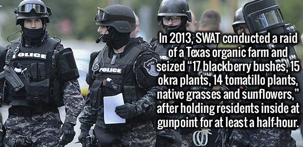 le swat - Tolice In 2013, Swat conducted a raid of a Texas organic farm and seized "17 blackberry bushes, 15 okra plants, 14 tomatillo plants, native grasses and sunflowers," after holding residents inside at gunpoint for at least a halfhour.