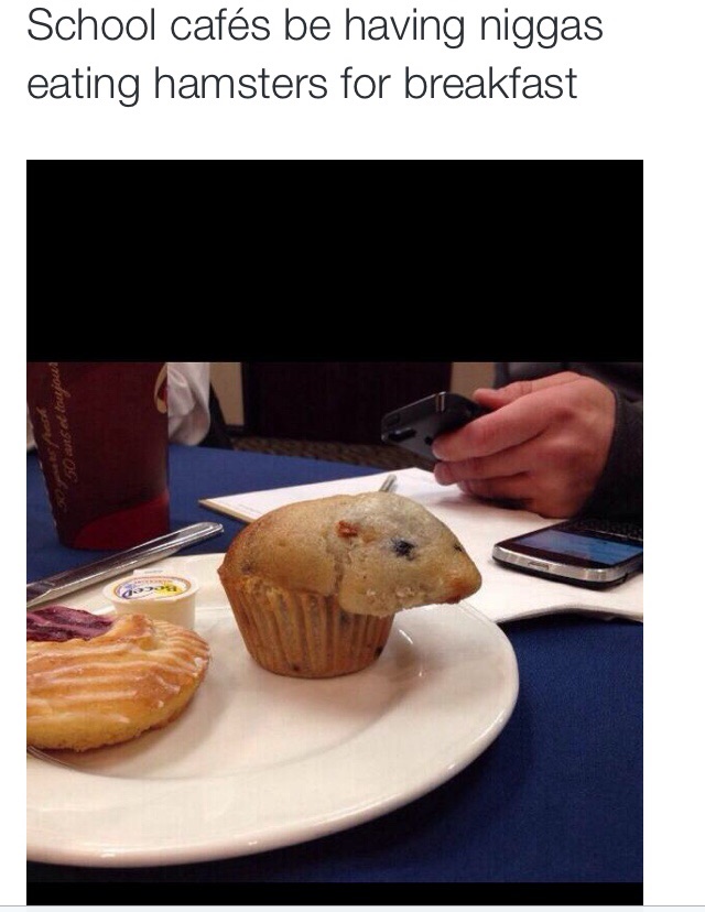 muffin that looks like a hamster - School cafs be having niggas eating hamsters for breakfast