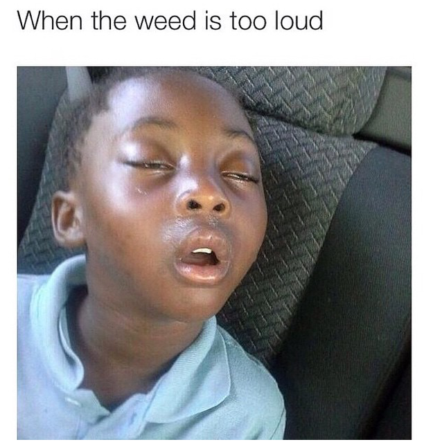 weed is too loud - When the weed is too loud