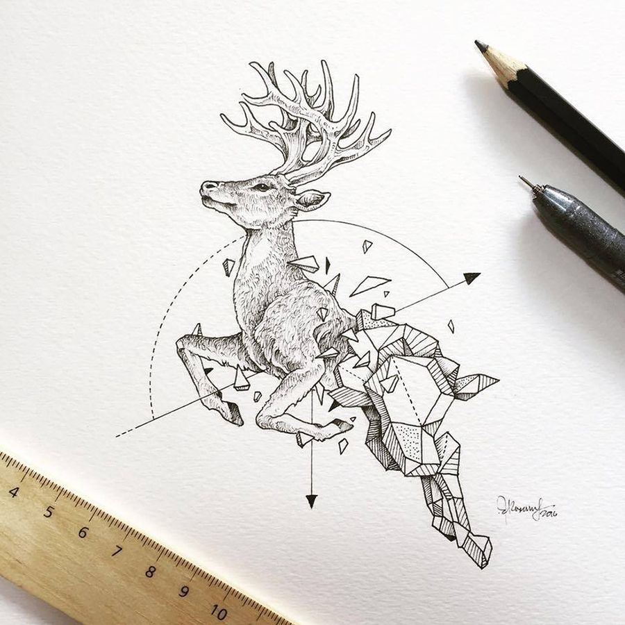 Kerby Rosanes The Author Of "Animorphia" Creates Some Rad Graphics