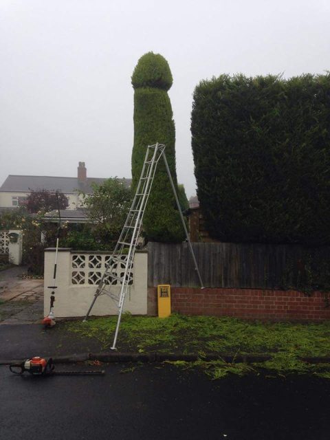 The creator probably knows what her's done as he says the neighbors are furious and people on the street look on the "tower" with surprise and disgust.