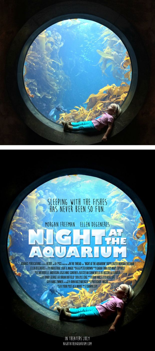 night at the aquarium - Sleeping With The Fishes Has Never Been So Fun. Morgan Freeman Ellen Degeneres Nightate Aquarium Advance Publications Reddit SerPICSmera In The Thread W "Night At The Aquarium" Dopplerzer Morgan Freeman Ellen Degeneres De Industria