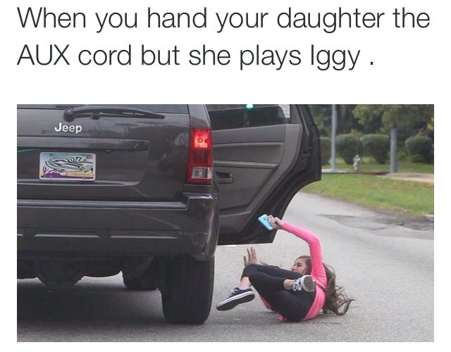 girl getting kicked out of car meme - When you hand your daughter the Aux cord but she plays Iggy. Jeep