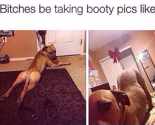 photo caption - Bitches be taking booty pics