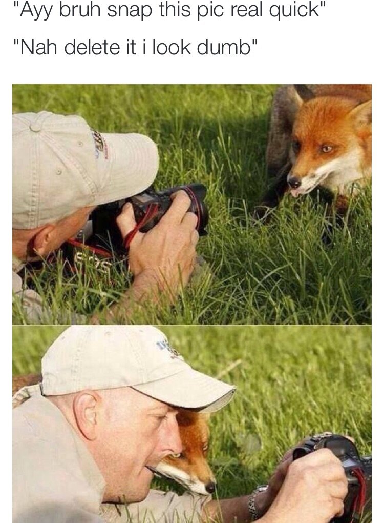 fox cameraman - "Ayy bruh snap this pic real quick" "Nah delete it i look dumb"