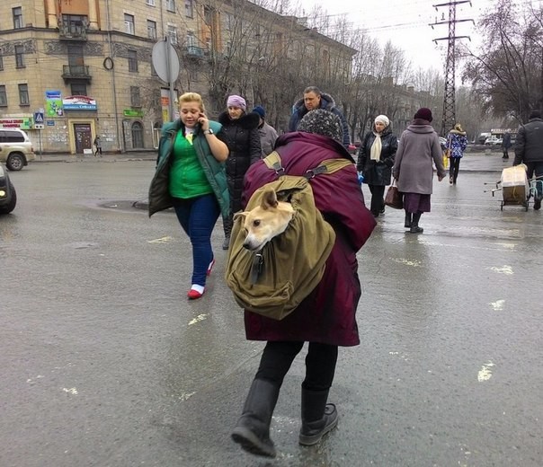 25 Things You'll Only See In Russia