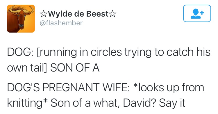 21 Images From Twitter That Are On Point