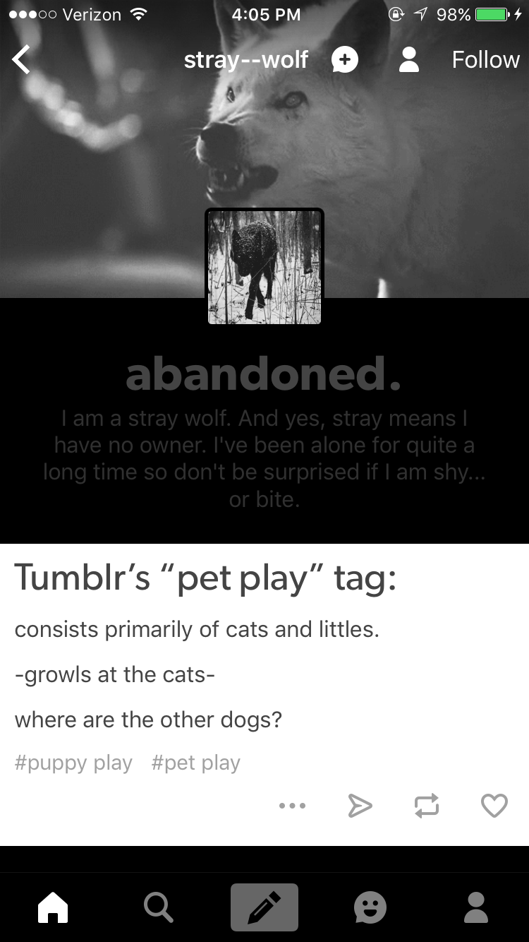 screenshot - ...00 Verizon @ 1 98% O4 straywolf abandoned. Tam a stray wolf. And yes, stray means | have no owner. I've been alone for quite a long time so don't be surprised if I am shy... or bite. Tumblr's "pet play tag consists primarily of cats and li