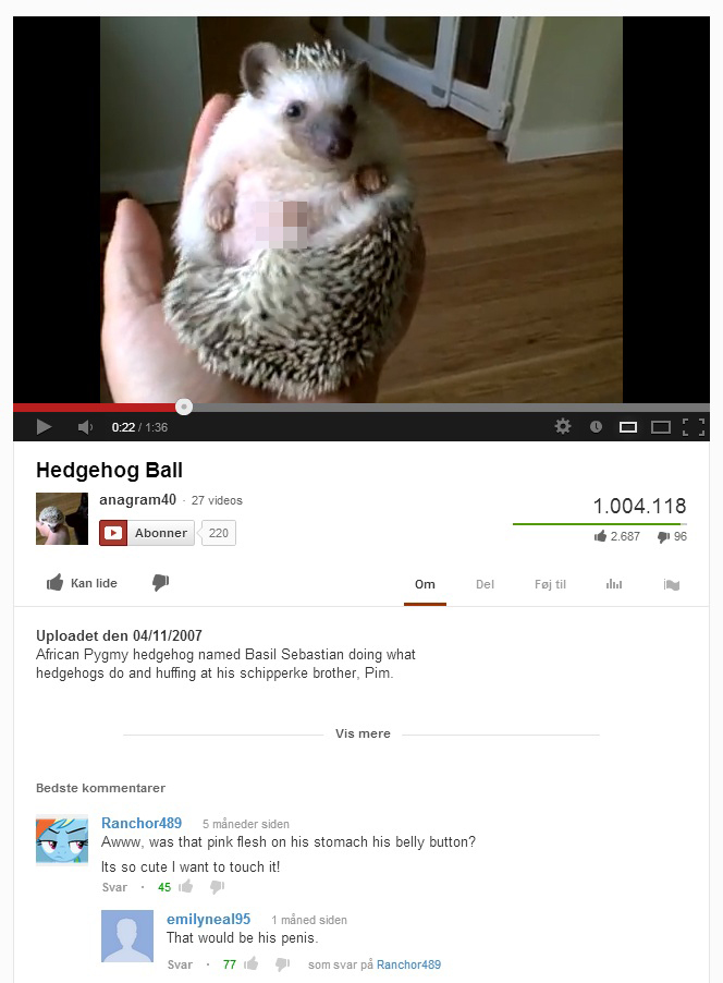 youtube comment photo caption - Hedgehog Ball anagram40 27 videos Abonner 220 1.004.118 2.687 496 Kan lide Om Delfj til uliN Uploadet den 04112007 African Pygmy hedgehog named Basil Sebastian doing what hedgehogs do and huffing at his schipperke brother, 