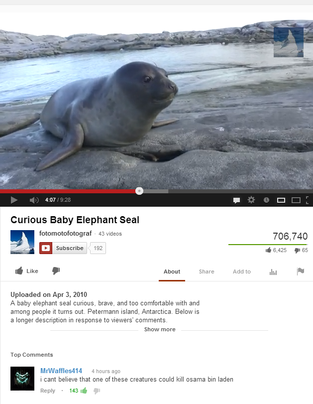 youtube comment seal youtube comment - 0 4.079.25 Ooo! Curious Baby Elephant Seal fotomotofotograf 43 videos Subscribe 193 706,740 About Add to Uploaded on A baby elephant seal cunous brave and to comfortable with and among people it turns out, Petermann 