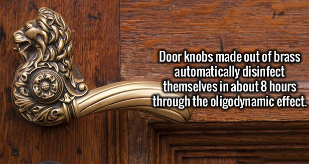 antique door handles - Door knobs made out of brass automatically disinfect themselves in about 8 hours through the oligodynamic effect.