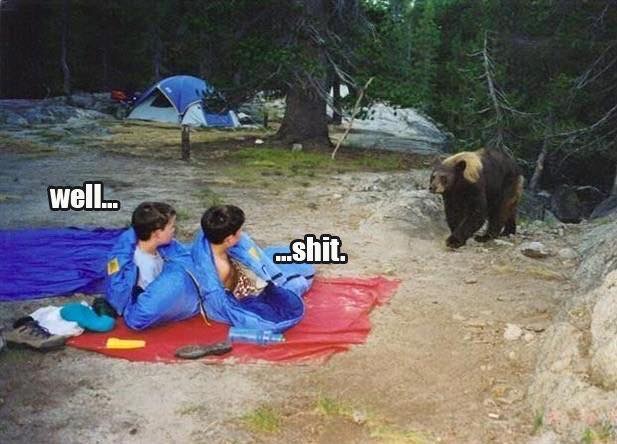 bear camping meme - well... shit.