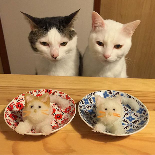 A Japanese couple had a handful with their cats that showed up every time they made or opened some food...