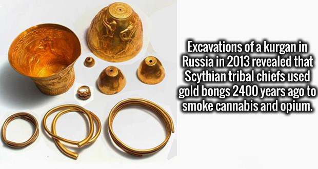 cool gold facts - Excavations of a kurgan in Russia in 2013 revealed that Scythian tribal chiefs used gold bongs 2400 years ago to smoke cannabis and opium.