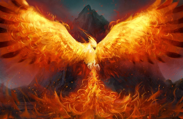 phoenix rising