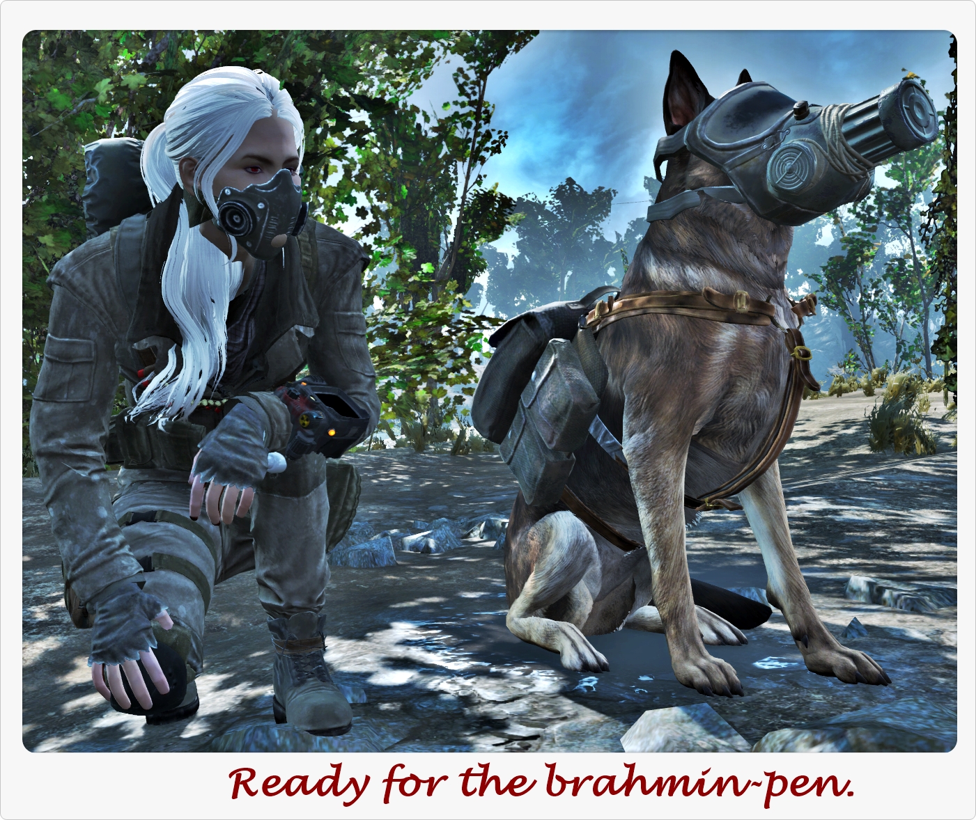 dog - Ready for the brahminpen.