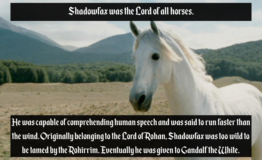 17 Baffling Lord Of The Ring Facts That Will Blow Your Mind