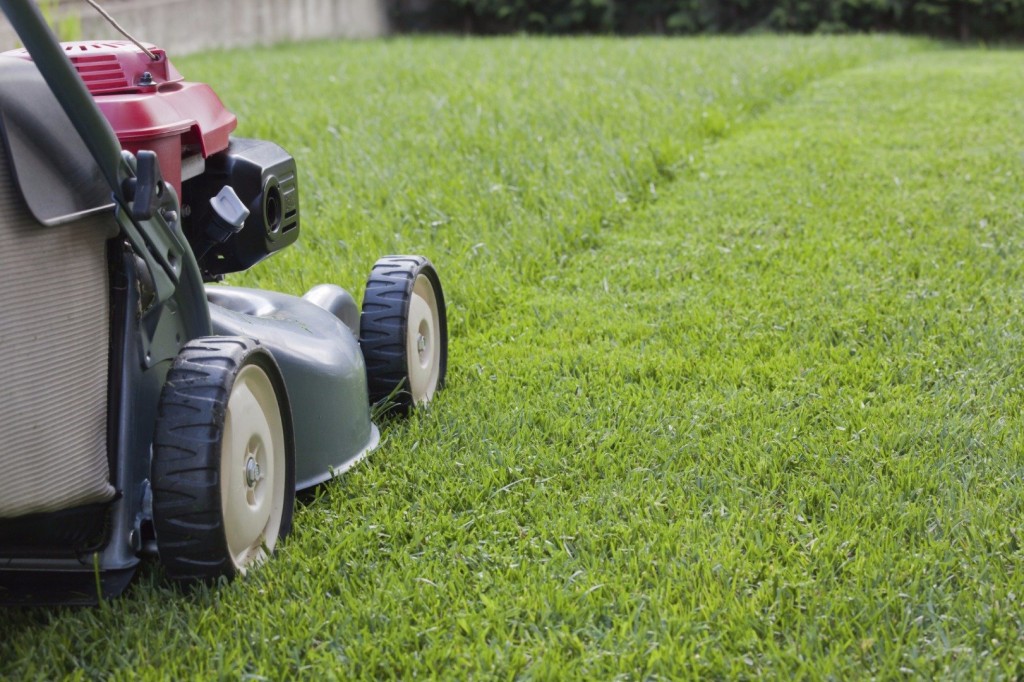 Lawn mowing. A Swedish study revealed that its pollution can endanger your respiratory system and your health in general. So simply put, if your allergic cut grass is like kryptonite.