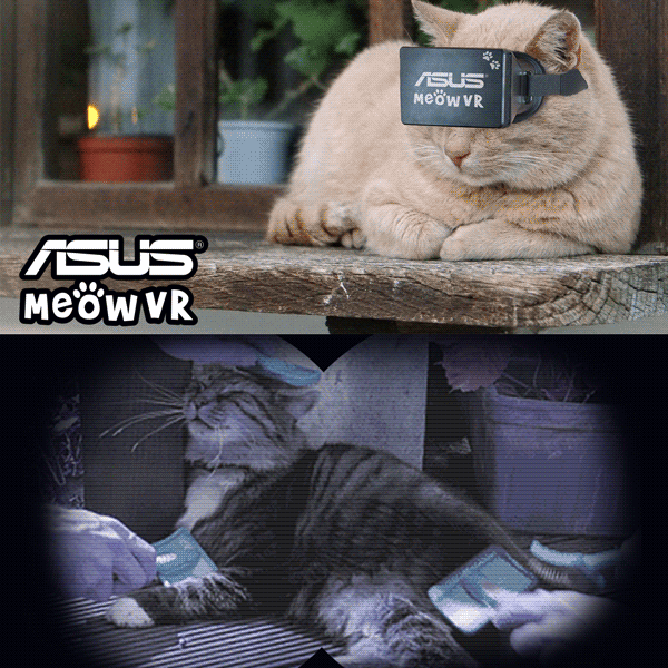 vr cat meme - Sus Meow Vr Us Mew Vr