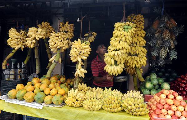 Honduras- 11 bananas