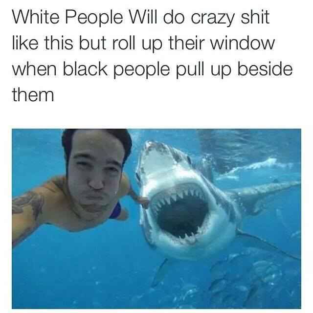 tweet - pete wentz shark - White People will do crazy shit this but roll up their window when black people pull up beside them