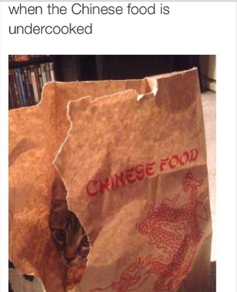 tweet - cat in chinese food bag - when the Chinese food is undercooked Chinese Food
